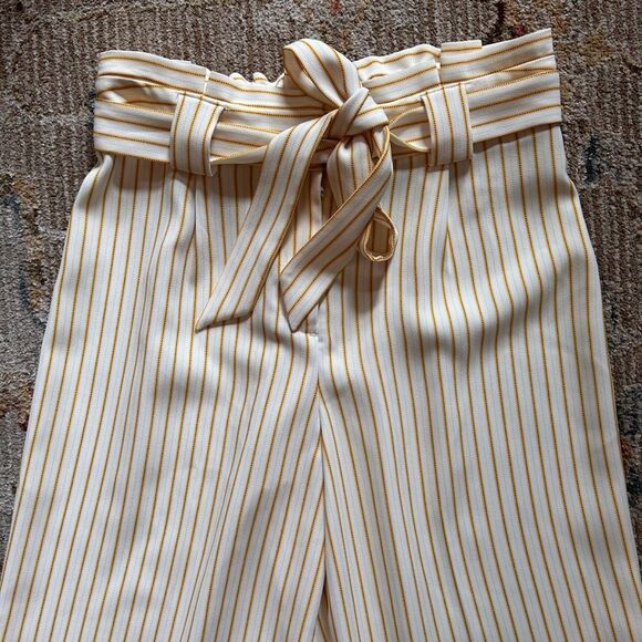 Express yellow Striped Wide Leg Pants - Picture 3 of 9